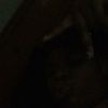 neisha_watkins